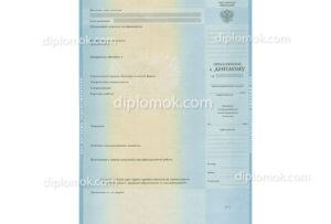 купить приложение к диплому вуза до 2013 года